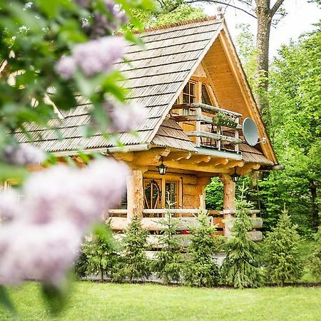 Villa Klimkowka Zakopane Esterno foto
